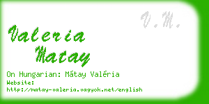 valeria matay business card