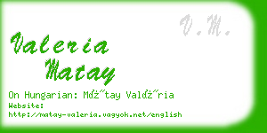 valeria matay business card